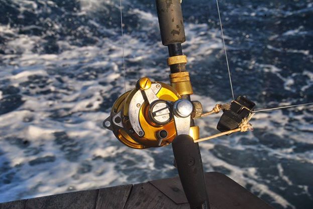 Sunset Cruise Fishing on Ruthless Roatan Charters