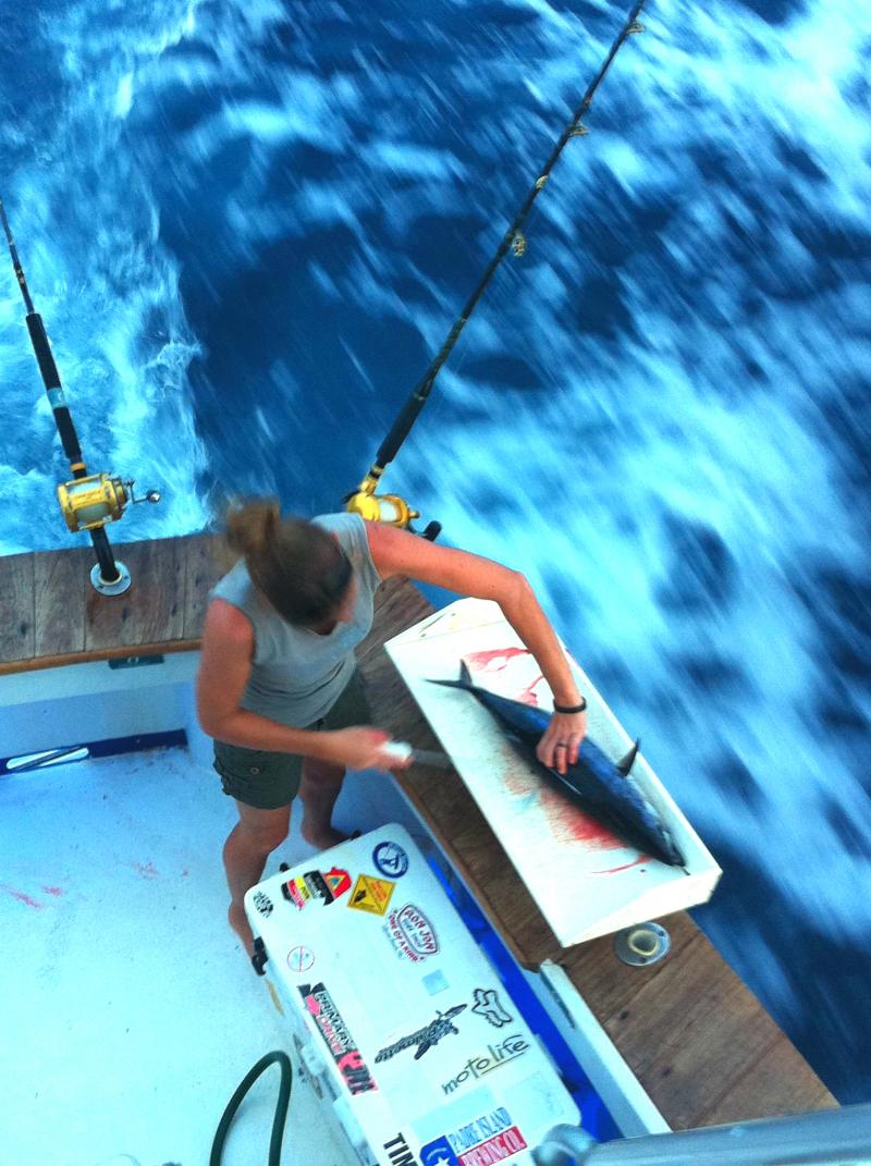 Fresh caught tuna made into fresh Sashimi on Ruthless Sunset Cruise on Roatan!