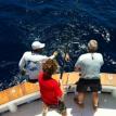 Marlin Fishing, catch and release on Ruthless roatan charters 2012